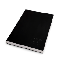 Large Promise Journal